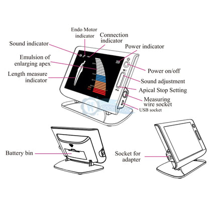 Woodpecker DPEX V Dental Endo Apex Locator